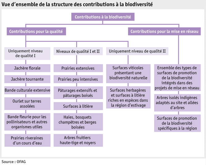 Zoom: ab16_grafik_biodiversitaetsbeitraege_systematik_f.png